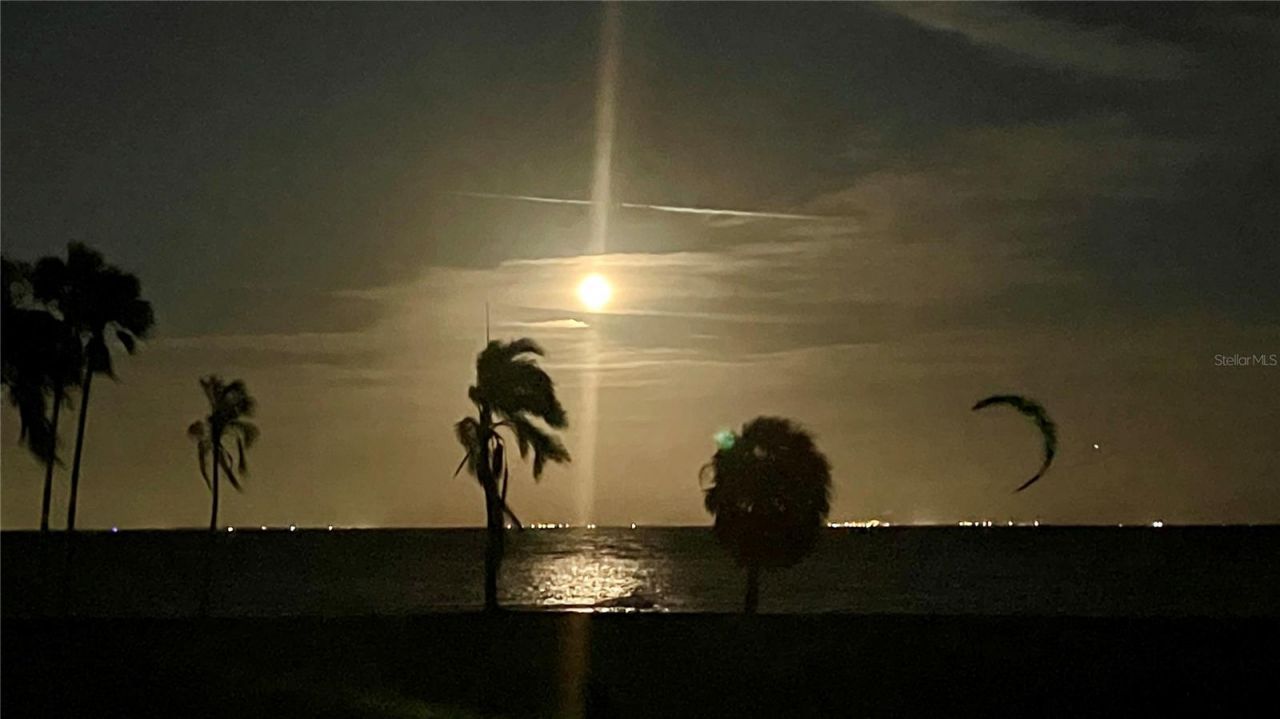 2209 Sunrise Drive Se, Saint Petersburg, FL 33705 Photo