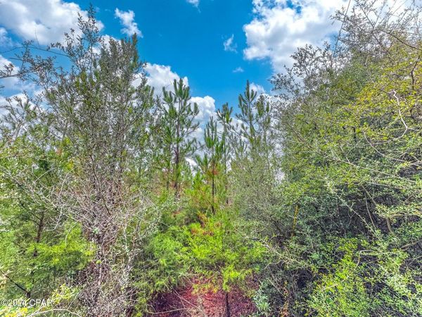 Tract 6418 N Union Hill Road , Unit Bryant bay, Caryville, FL 32427