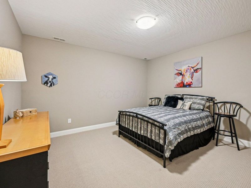 6677 Via Florenza Drive , Galena, OH 43021 Photo 54