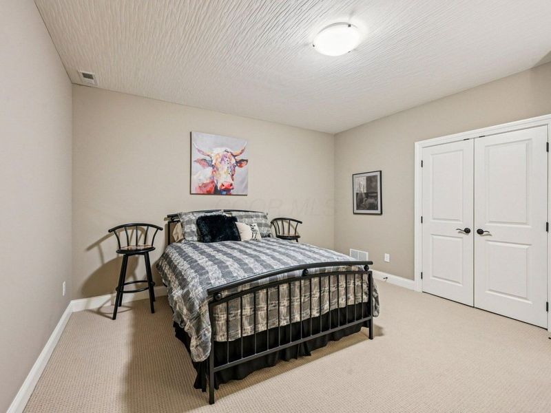 6677 Via Florenza Drive , Galena, OH 43021 Photo 55