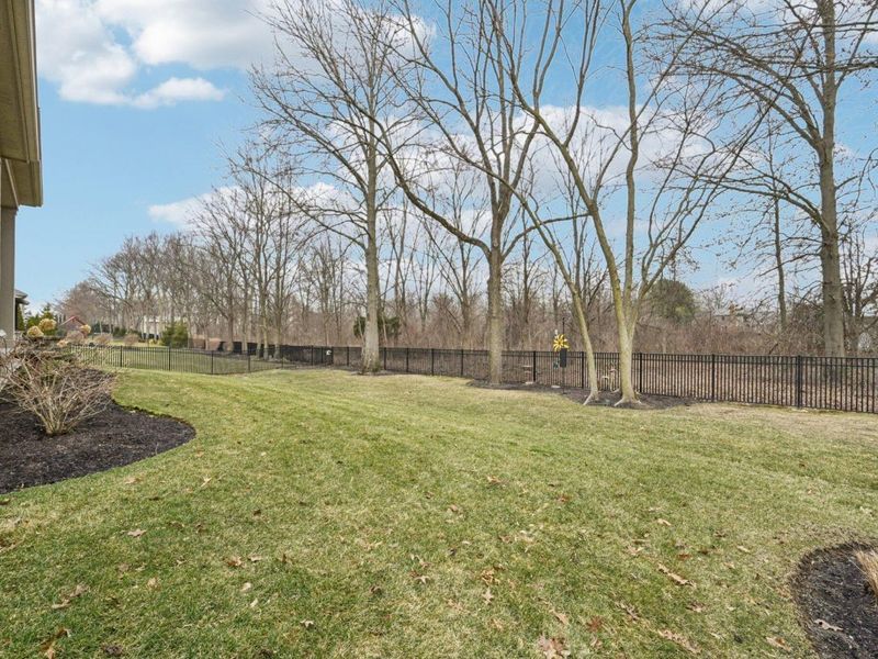 6677 Via Florenza Drive , Galena, OH 43021 Photo 67