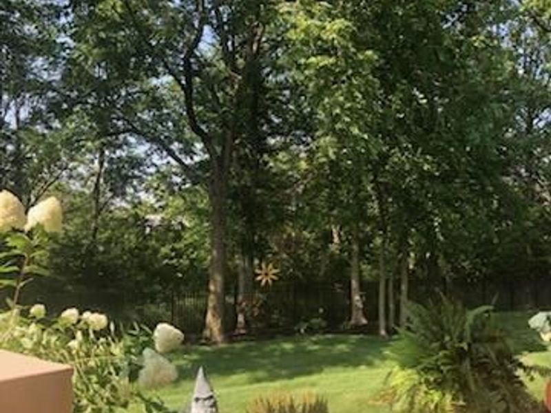 6677 Via Florenza Drive , Galena, OH 43021 Photo 87