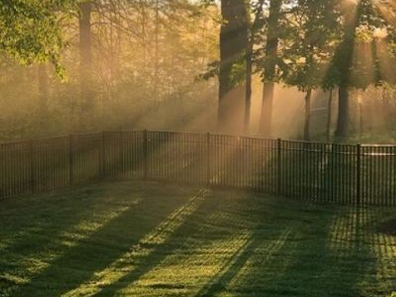 6677 Via Florenza Drive , Galena, OH 43021 Photo 88