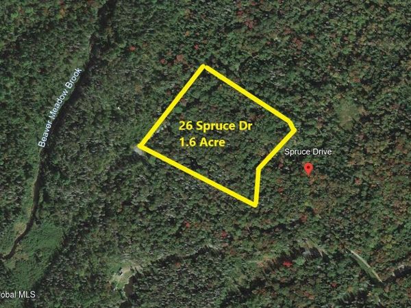 26 Spruce Drive, Indian Lake, NY 12842