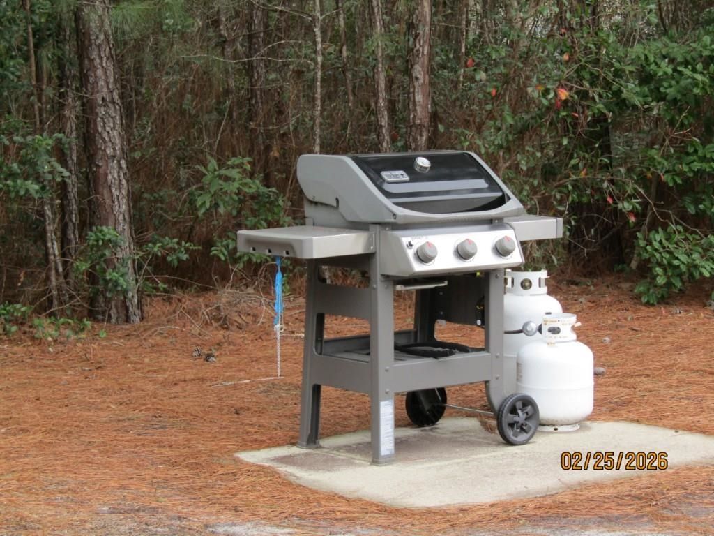 144 Scotchbroom Dr. Photo 30