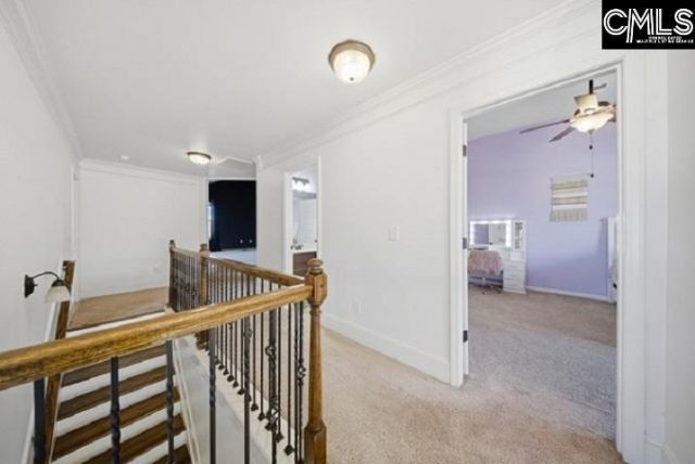 215 Tulip Way  Photo 33