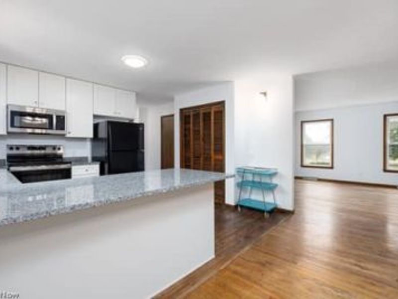 4293 Good Road, Seville, OH 44273 Photo 16