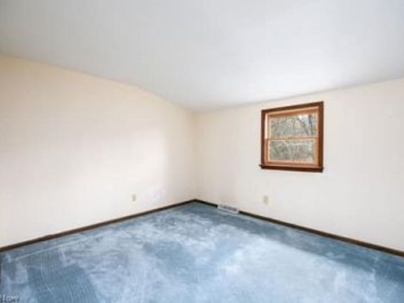 4293 Good Road, Seville, OH 44273 Photo 28