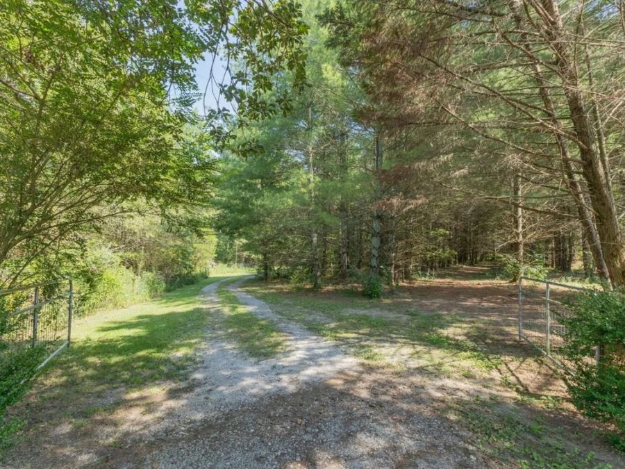 Property Image 37