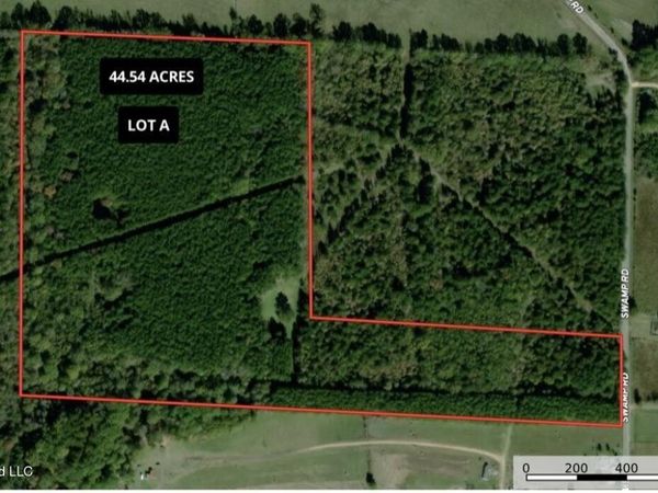 Swamp Road, Carthage, MS 39051