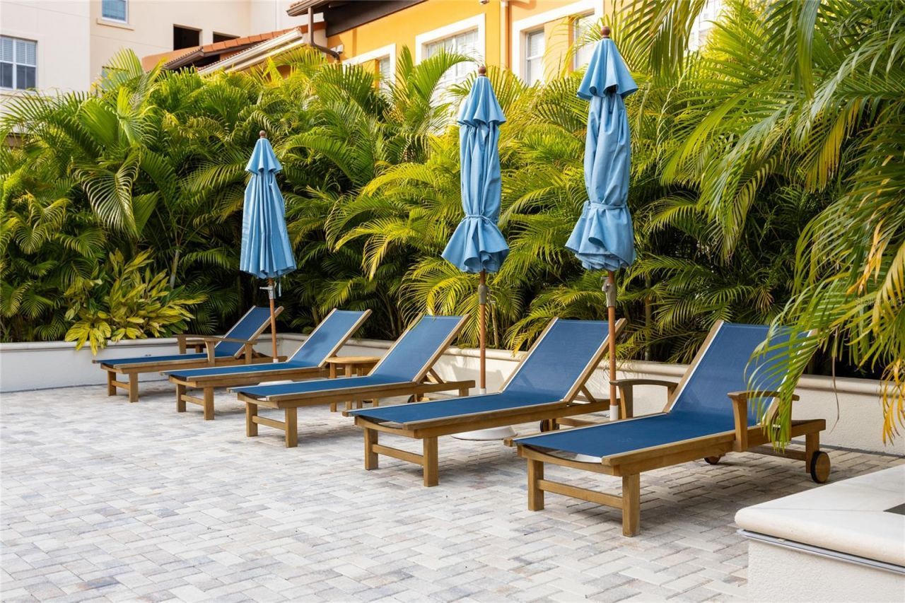 200 4th Avenue S, Unit 320, Saint Petersburg, FL 33701 Photo