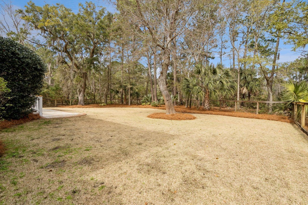 3253 Sand Marsh Lane Photo 57