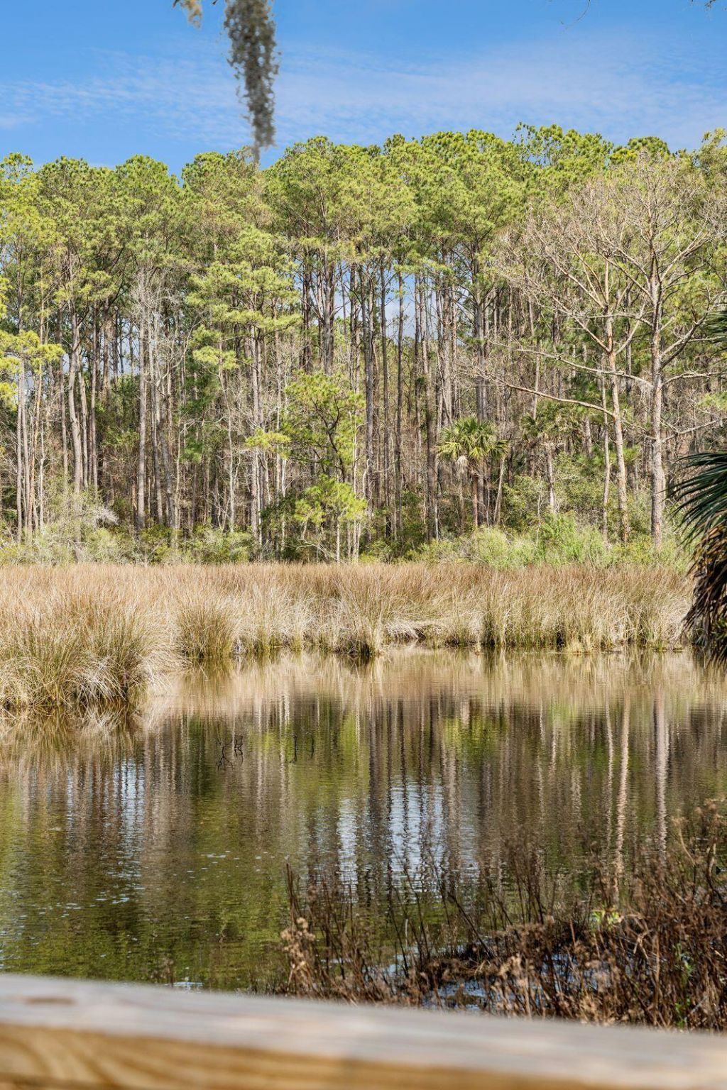 3253 Sand Marsh Lane Photo 61