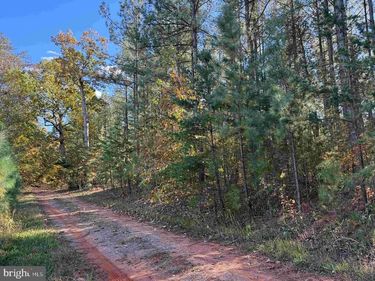 OFF OF SHORES ROAD (TRACT: TANAGER ET2 2020) , SCOTTSVILLE, VA 24590