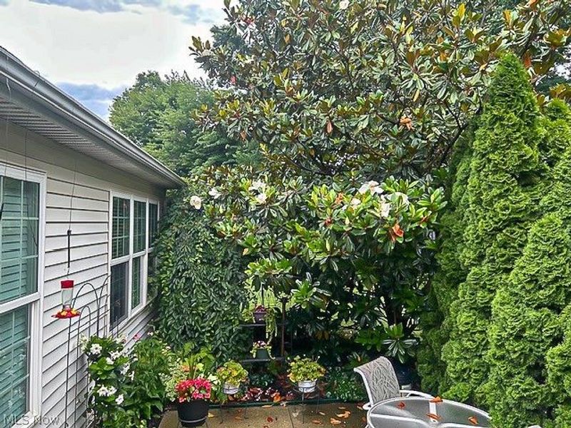 407 Clearbrook Drive , Avon Lake, OH 44012 Photo 32