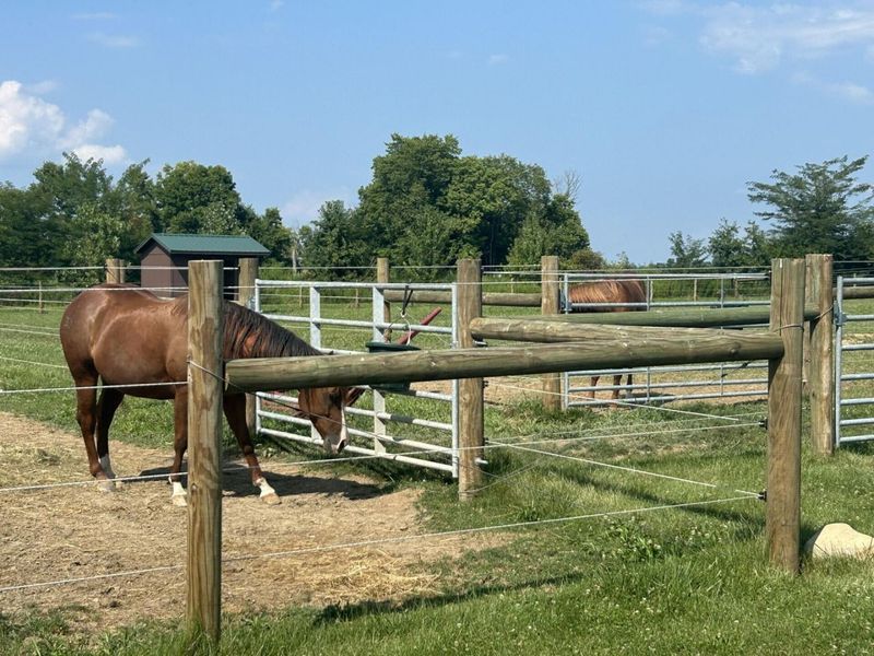 6090 Horseshoe Road , Delaware, OH 43015 Photo 11