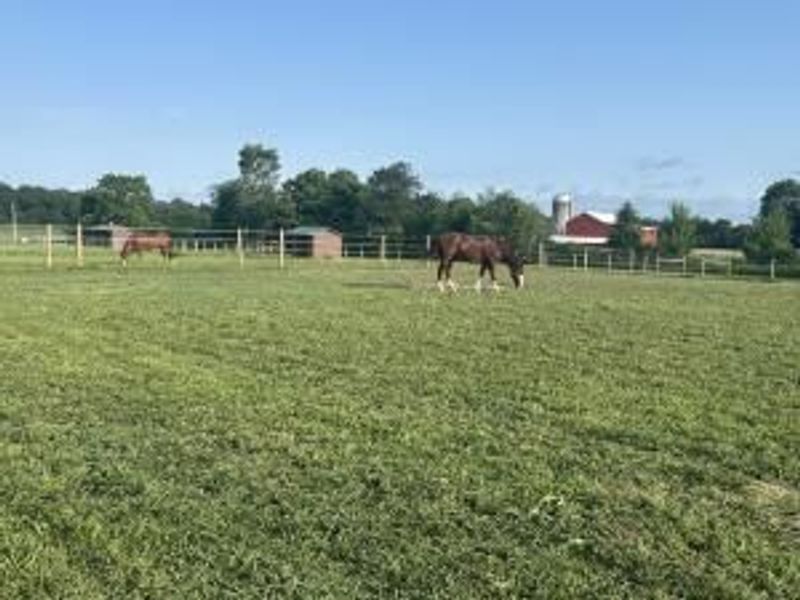 6090 Horseshoe Road , Delaware, OH 43015 Photo 13