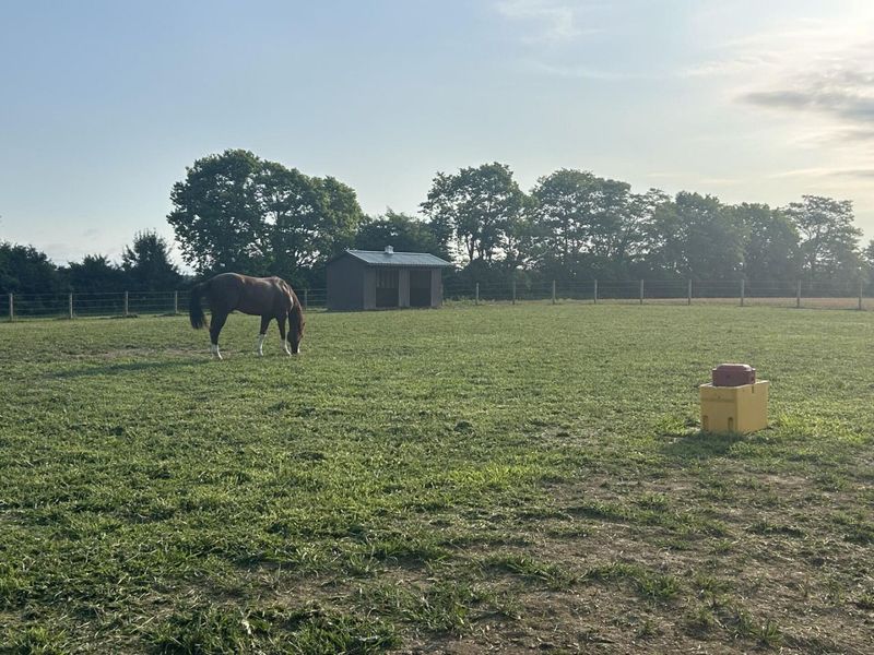 6090 Horseshoe Road , Delaware, OH 43015 Photo 14