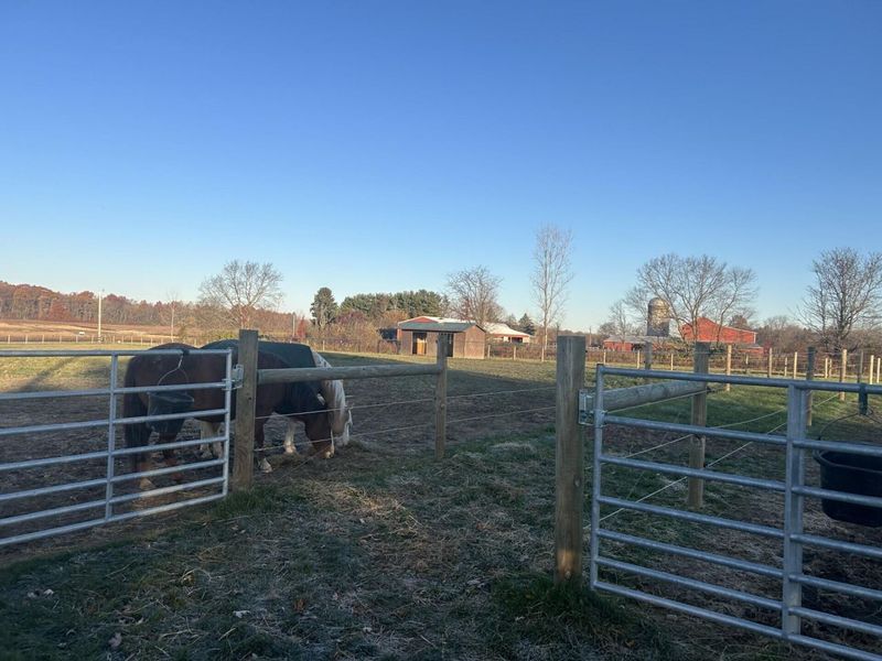 6090 Horseshoe Road , Delaware, OH 43015 Photo 9