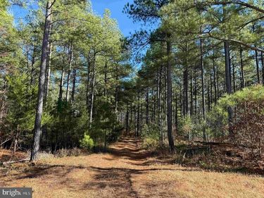 OFF OF DIANA MILL ROAD (TRACT: TANAGER ET2 2023 , ARVONIA, VA 23004