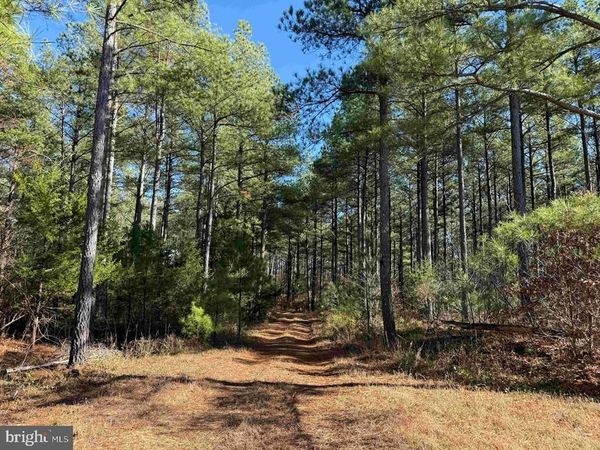 OFF OF DIANA MILL ROAD (TRACT: TANAGER ET2 2023 , ARVONIA, VA 23004