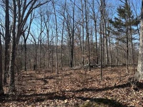 10712 ETZLER MILL ROAD , WOODSBORO, MD 21798