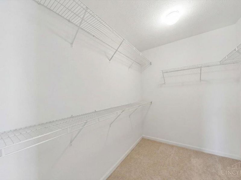 250 Ballard Drive, Springboro, OH 45066 Photo 49