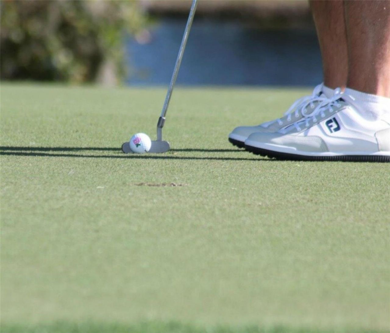 5003 Tobermory Way, Bradenton, FL 34211 Photo