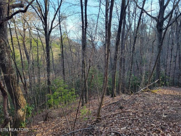 Lot 5 Swann Saddle , Sevierville, TN 37876