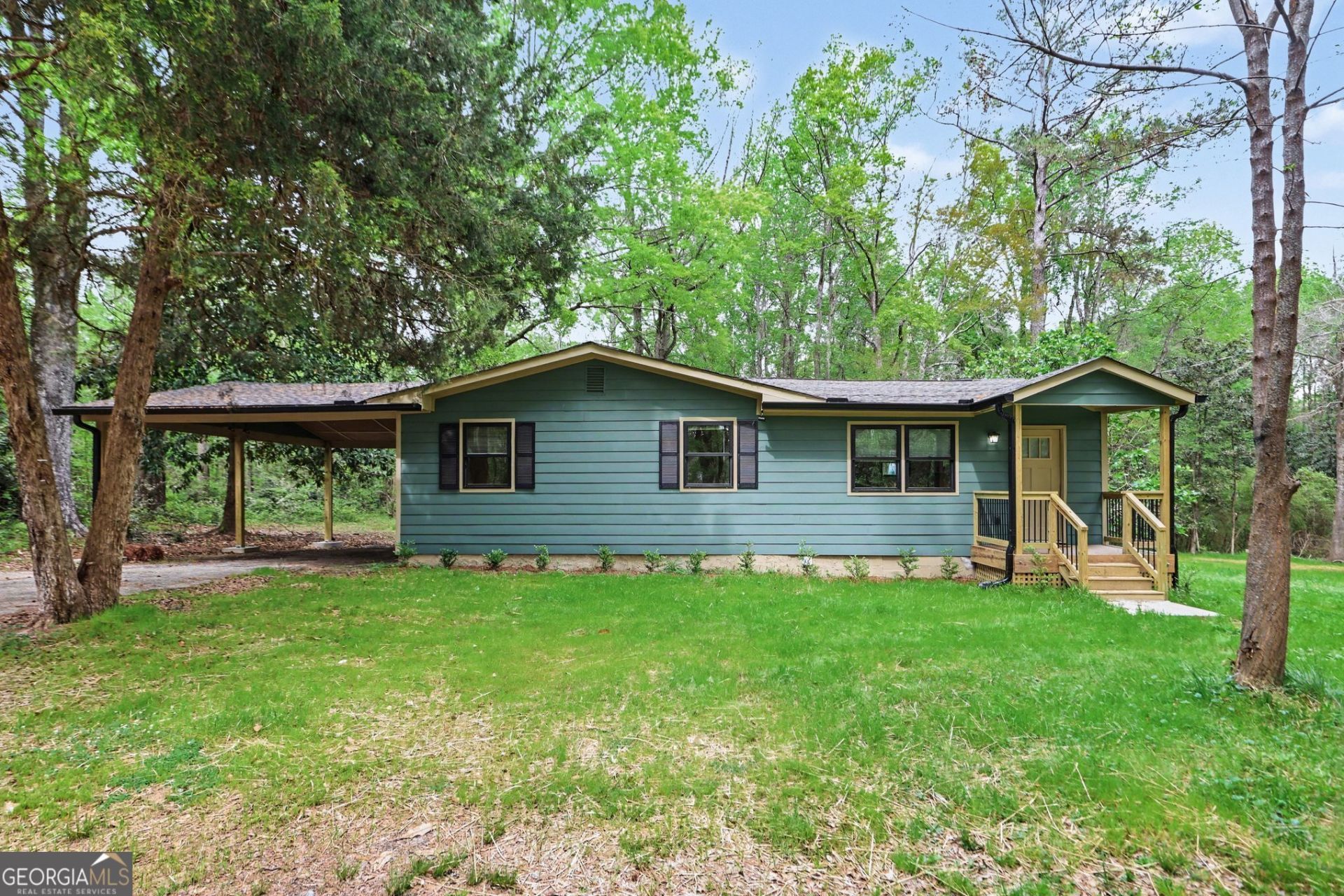 179 George Revell Street, Senoia, GA 30276 Main Photo