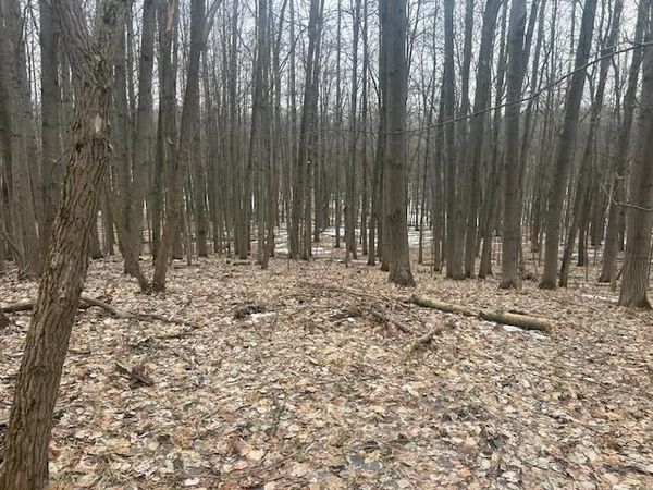 9735 Pere Marquette Drive, Stanwood, MI 49346