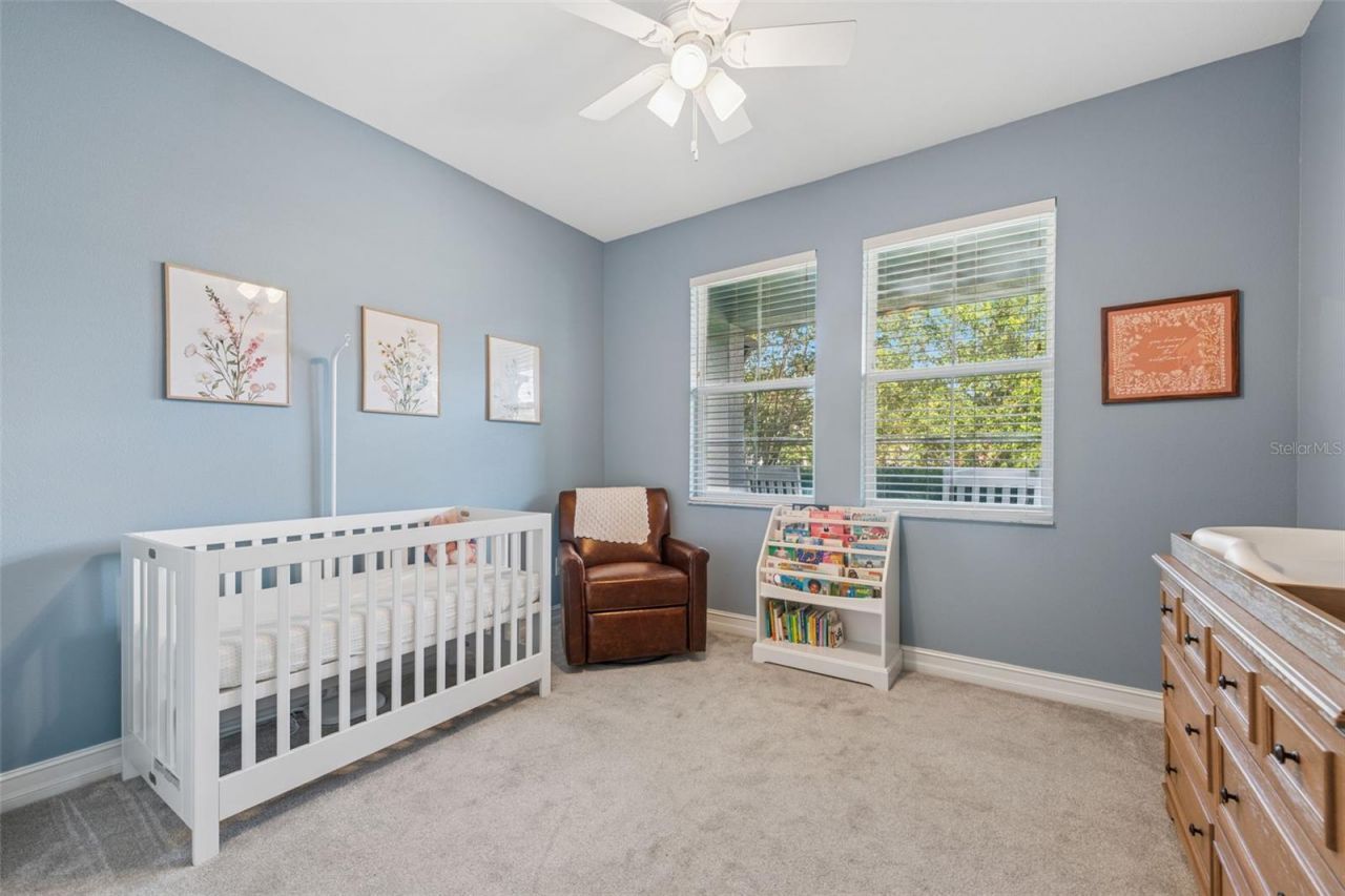 8011 Red Orchard Court, Tampa, FL 33635 Photo