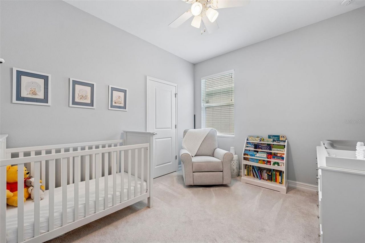 8011 Red Orchard Court, Tampa, FL 33635 Photo