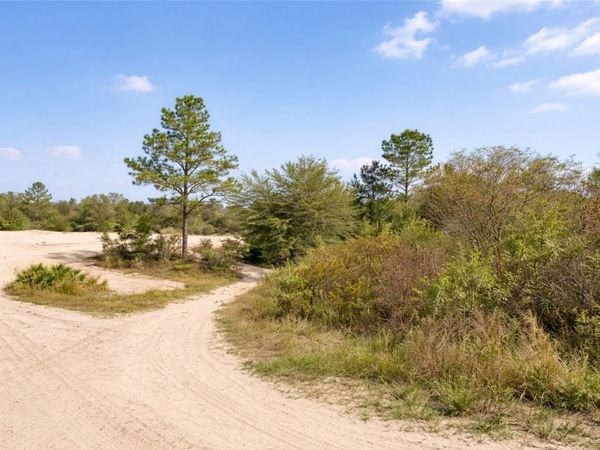 0 CORAL ROCK DRIVE , WEBSTER, FL 33597