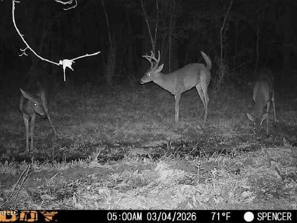 Bogue Chitto Road, Bogue Chitto, MS 39629