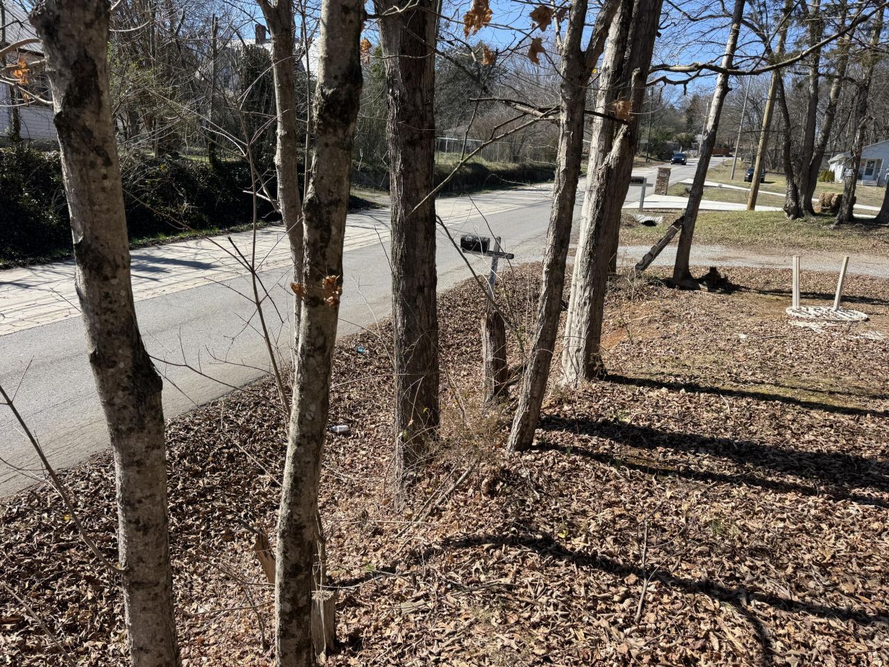 116 Cass Street Ne, Charleston, TN 37310 Main Photo