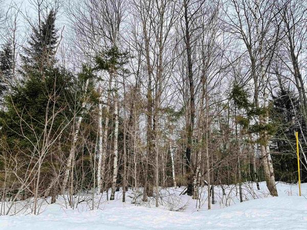 Lot 15 Holbrook Hill Road, Stratford, NH 03590