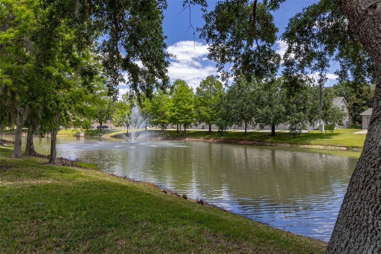 12327 Cruxbury Drive , Windermere, FL 34786 Photo