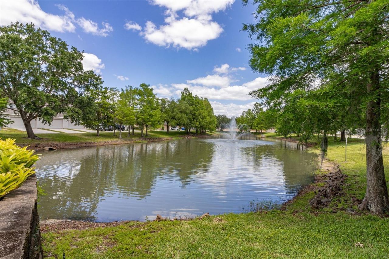 12327 Cruxbury Drive , Windermere, FL 34786 Photo