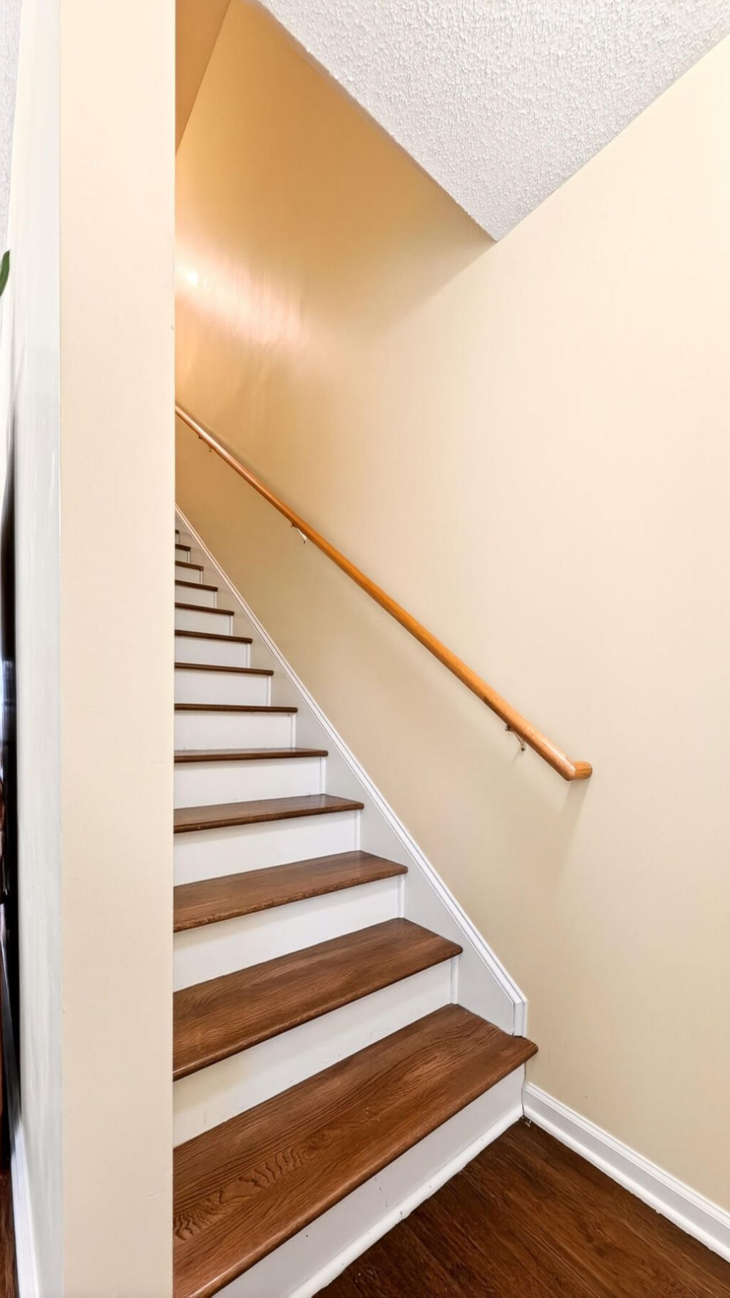 113 Venice Street Photo 21