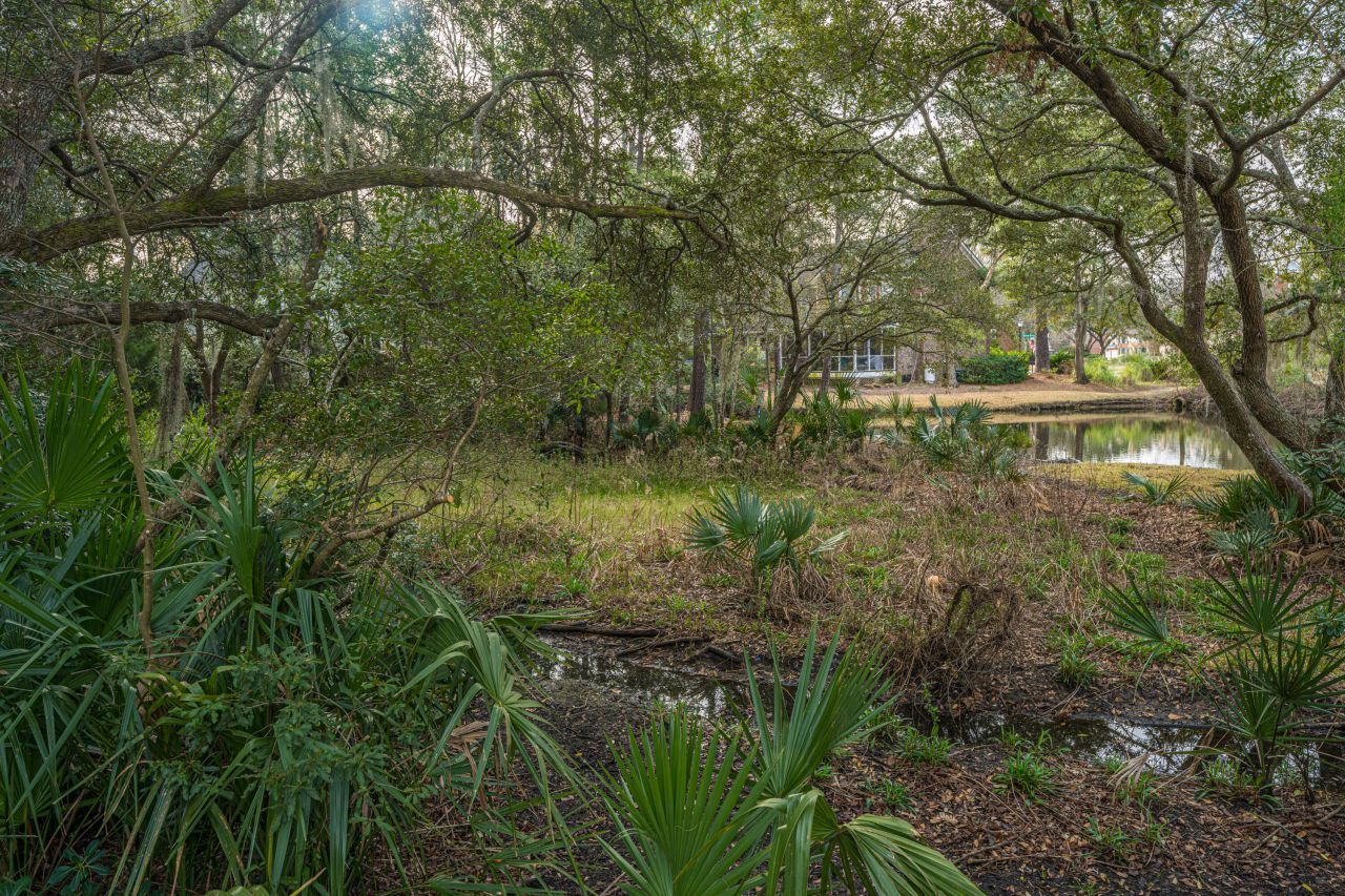 509 Chimney Bluff Drive Photo 47