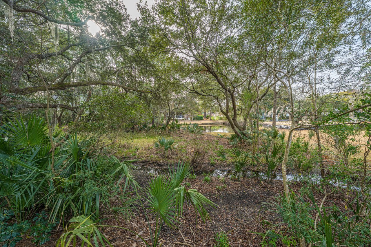 509 Chimney Bluff Drive Photo 48