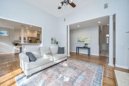 509 Chimney Bluff Drive photo 4