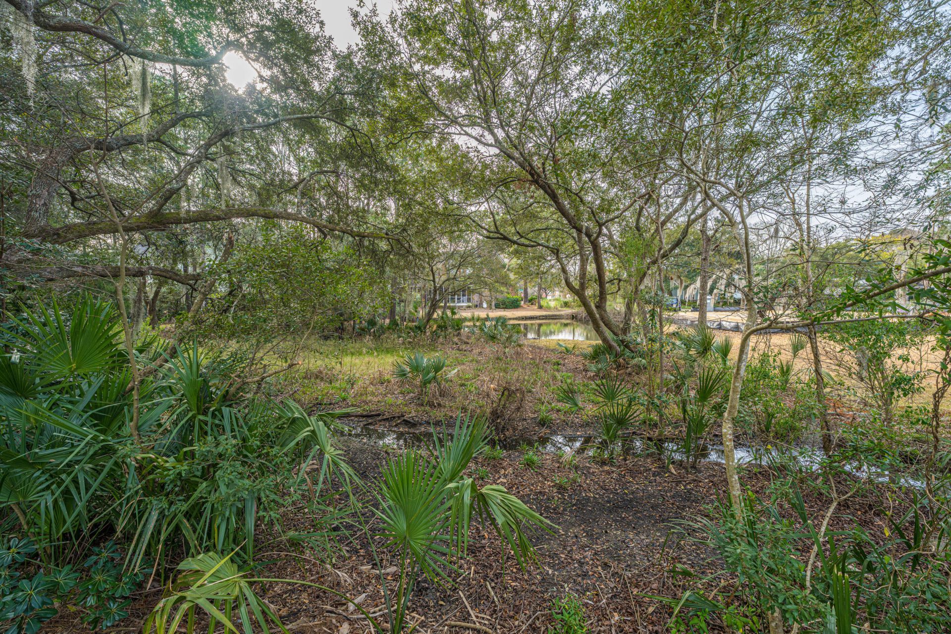 509 Chimney Bluff Drive Photo 50