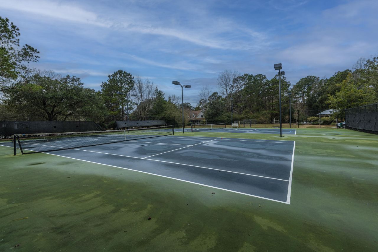 509 Chimney Bluff Drive Photo 56