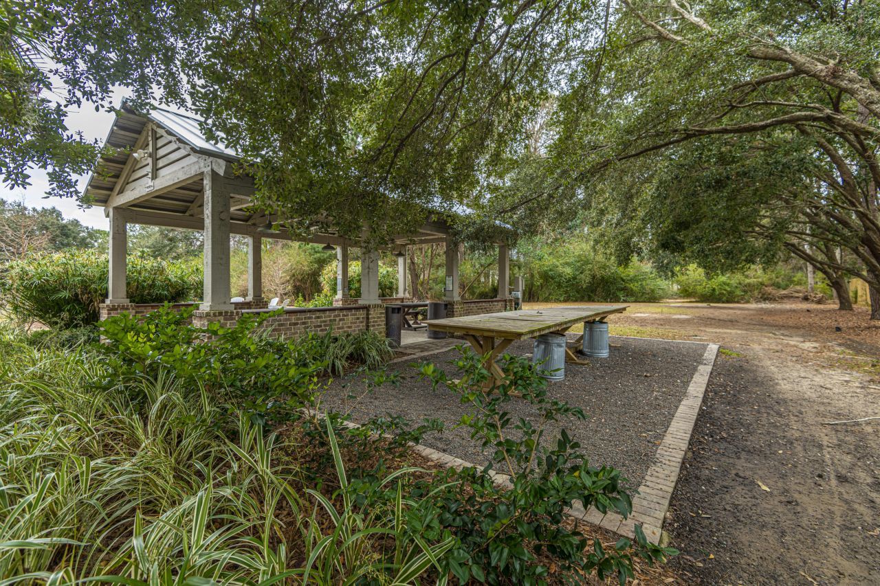 509 Chimney Bluff Drive Photo 59