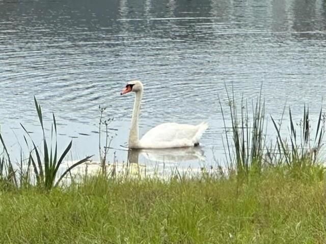 5260 Lucy Way Photo 52