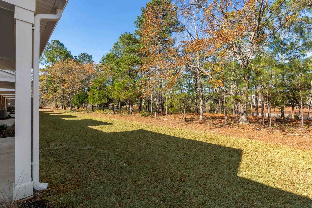 866 Foxtail Dr. Photo 39