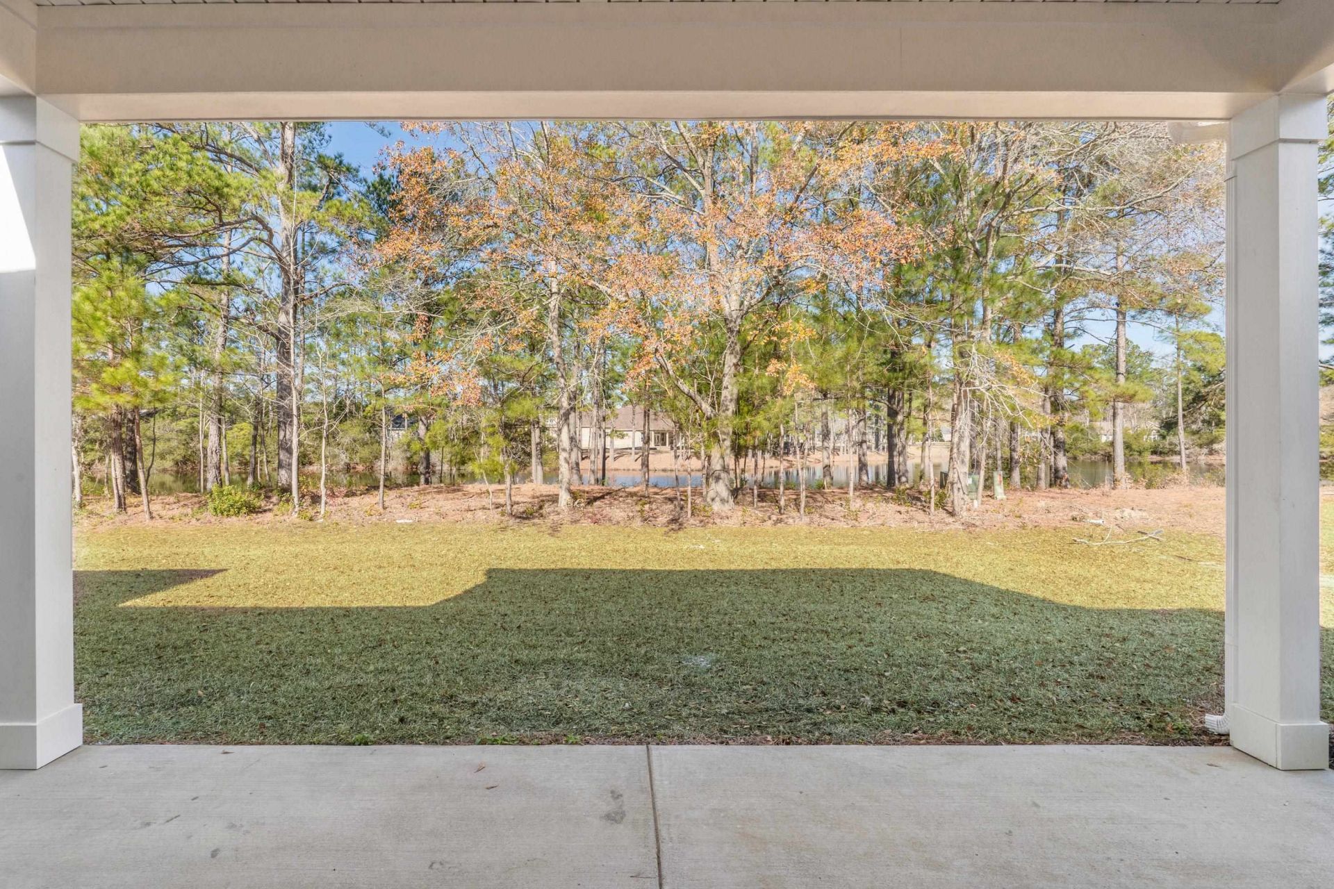 866 Foxtail Dr. Photo 5