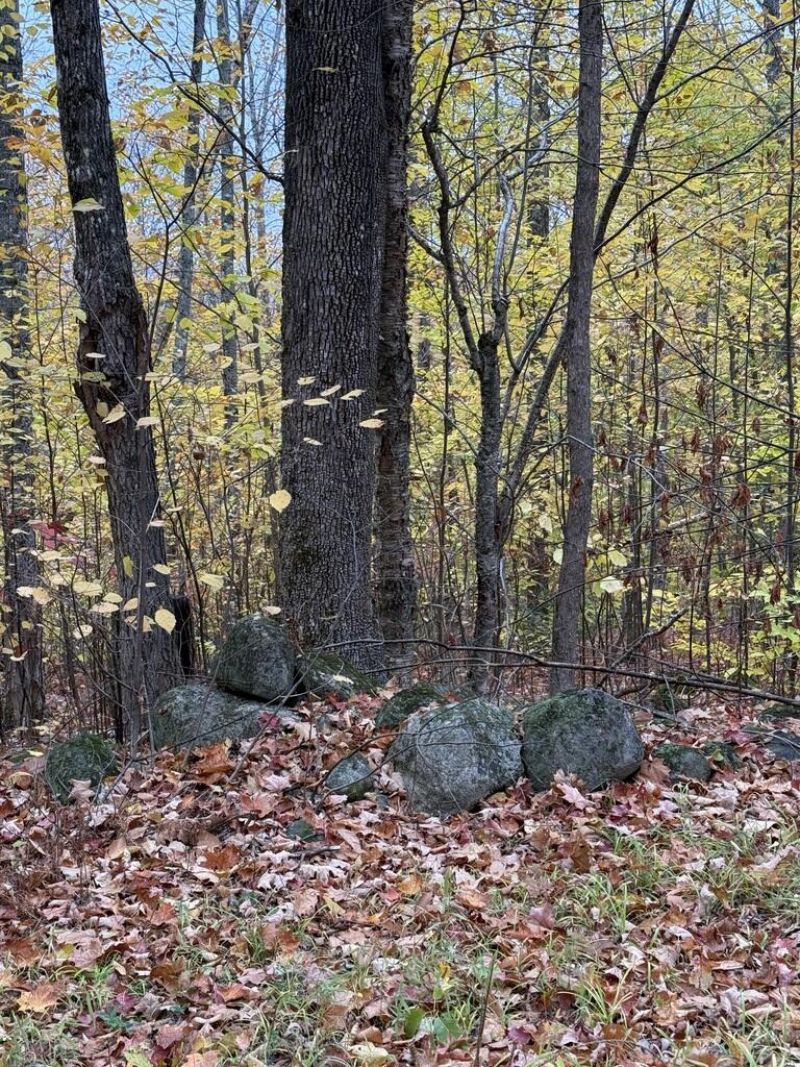 Lot 005 Greenwood Brook Road, Industry, ME 04938 Main Photo